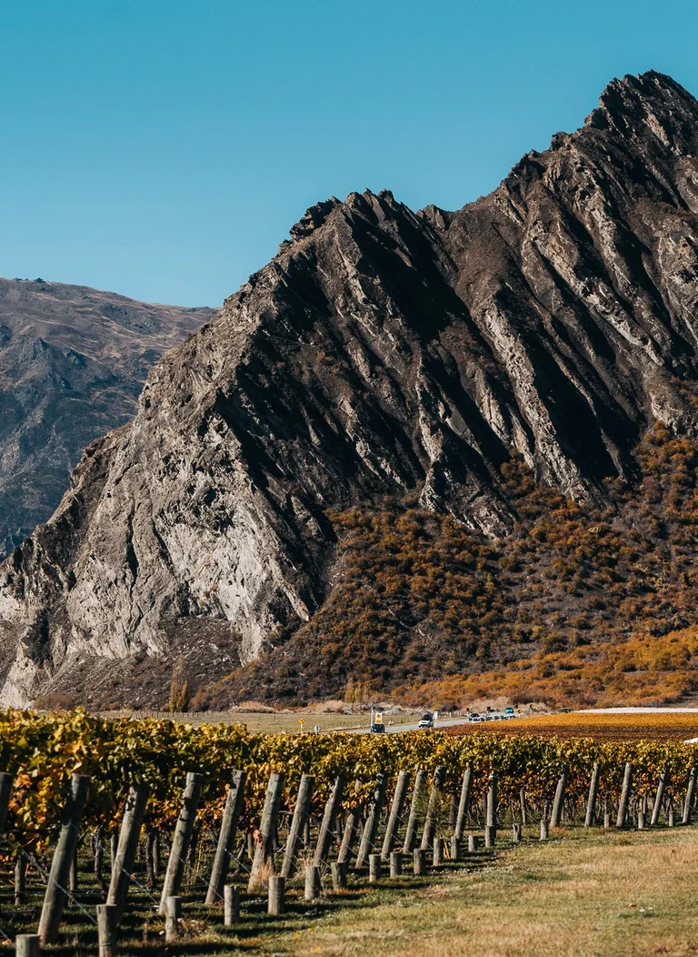 Touring New Zealand