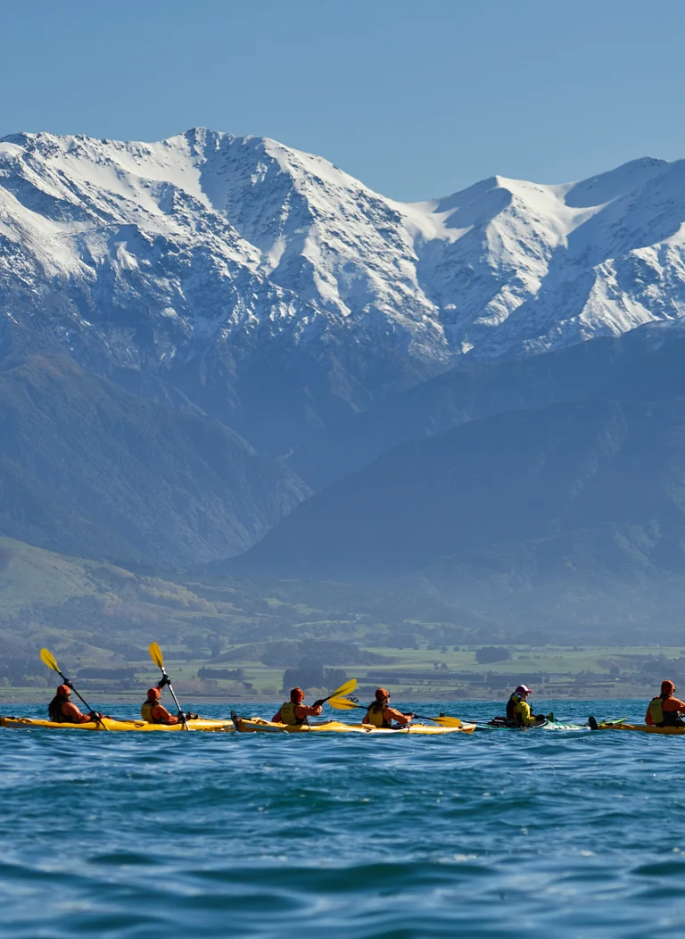 Touring New Zealand